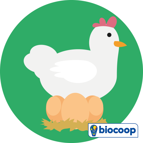 Aliment complet pour une poule pondeuse Aliment complet pour une poule pondeuse