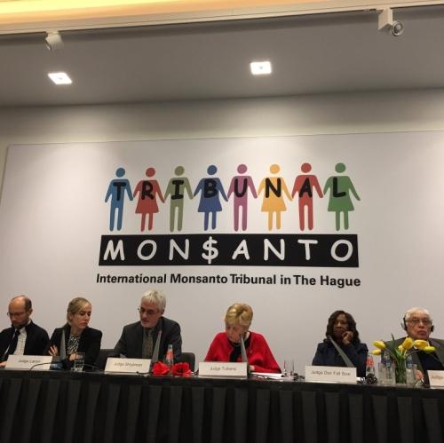 Tribunal Monsanto : Monsanto  accusé d'écocide et de violations des droits de l'Homme