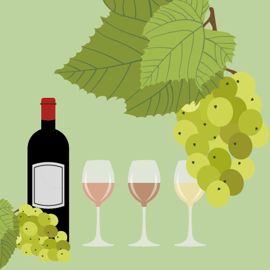 Vin bio vs vin nature : comment les reconnaître?
