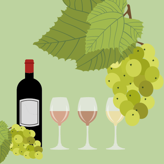 Vin bio vs vin nature : comment les reconnaître? Vin bio vs vin nature : comment les reconnaître?