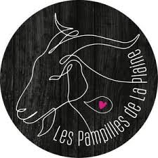 LES PAMPILLES DE LA PLAINE LES PAMPILLES DE LA PLAINE