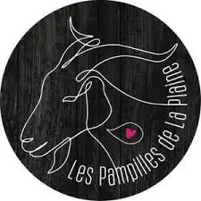 LES PAMPILLES DE LA PLAINE