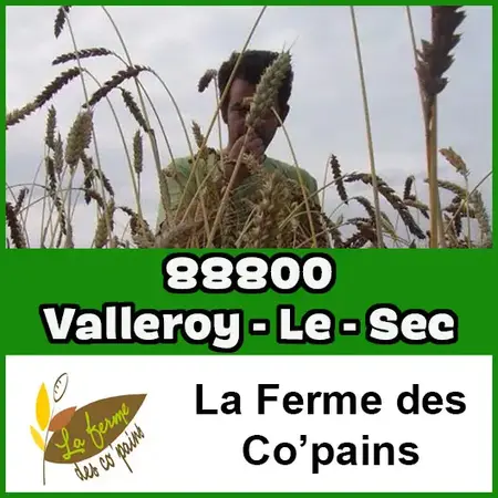 La Ferme des CO'PAINS 